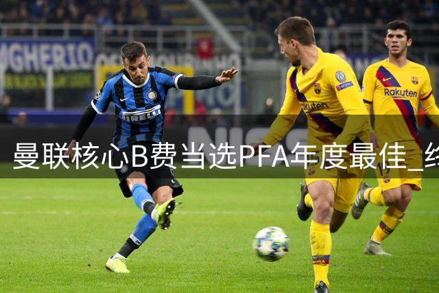 曼联核心B费当选PFA年度最佳 终结红魔16年等待